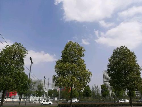 [每日天气]今天天气很好_150个字