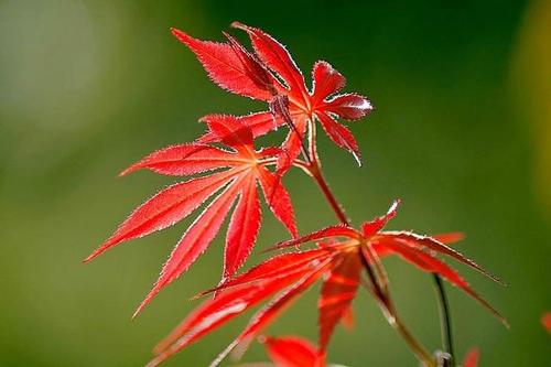 [散文]在纯净的时间中留下特殊的痕迹_1500个单词