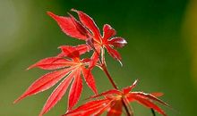 [散文]在清浅的时光里留下人生别样的印记_1500字