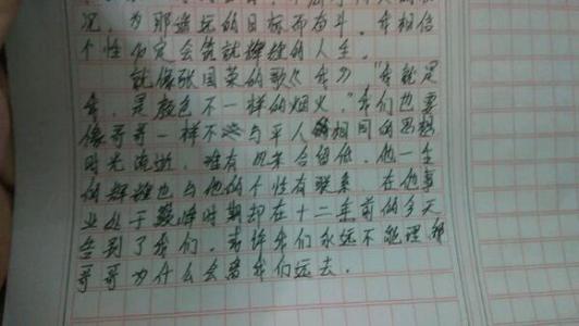 关于偶像的构图：我崇拜我的idol_750字