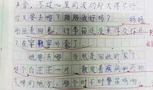 关于偶像的作文：我的偶像_550字