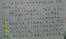 关于四季的作文：四季的公园_450字
