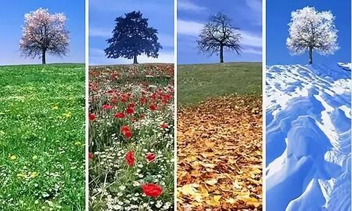 大约四个季节的组成：一年中的四个季节_650个单词