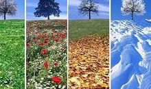 关于四季的作文：一年四季_650字