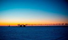 故乡的景色_450字