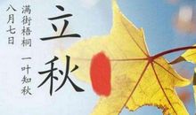 季节的好段好句：立秋的唯美句子_1500字