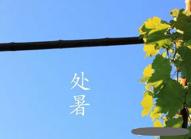 本季的好句子：楚书诗_450字