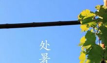 季节的好段好句：处暑的诗词_450字