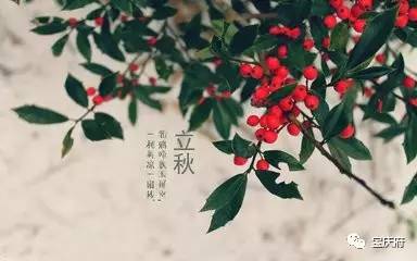 这个季节的好句子：秋季开始的感觉_800个单词