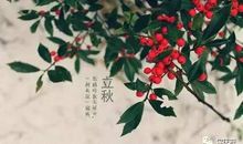 季节的好段好句：感怀立秋_800字