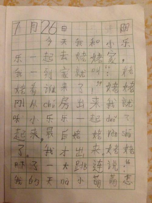 高义吉：今年暑假_450字