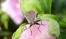 握着心，聆听感动的声音_900字