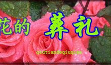 玫瑰花的葬礼_1500字