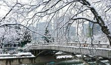 美丽江宁，我的家_700字