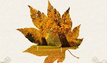 季节的好段好句：立秋的优美句子_1500字