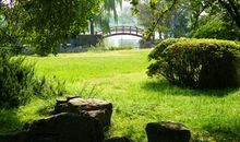 描写春天的优美段落_550字