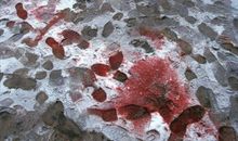 残酷的战争_450字