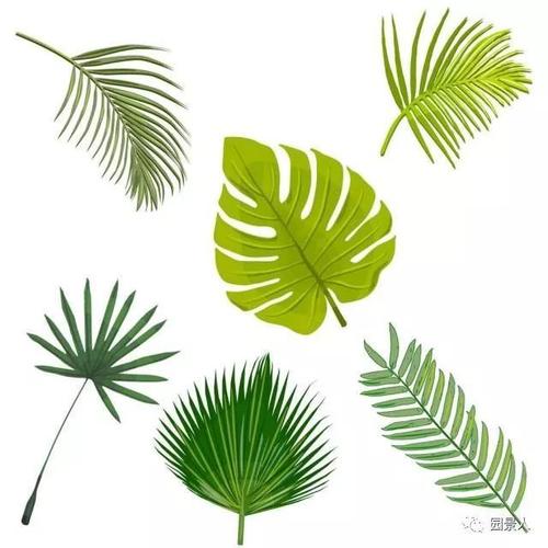 我是leaf_200个字