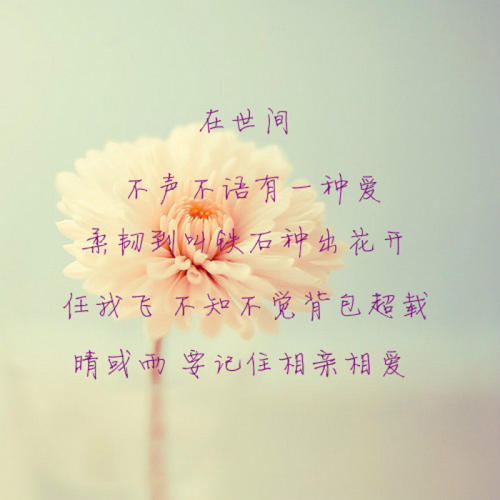 拥抱爱_700字
