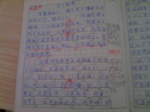 难忘的作弊词_900字