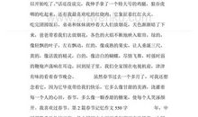 记忆中的感动_550字