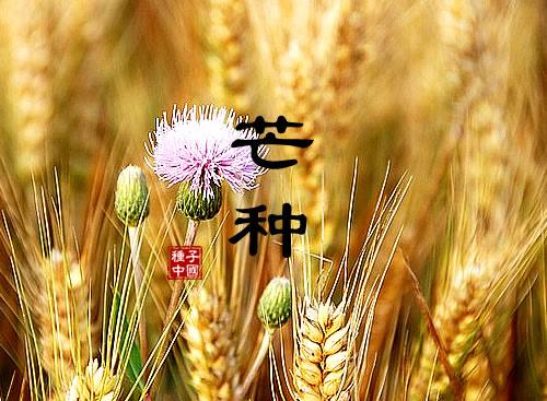 g祝福