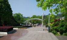 游南山植物园_1000字