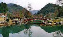 美丽的桃花岭_350字