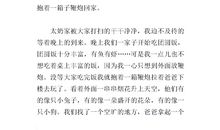 关于春节见闻的作文：春节见闻_650字