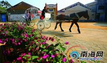 美丽乡村行_550字