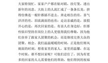 关于春节见闻的作文：春节见闻_600字