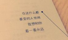 我最喜欢的一位朋友_500字