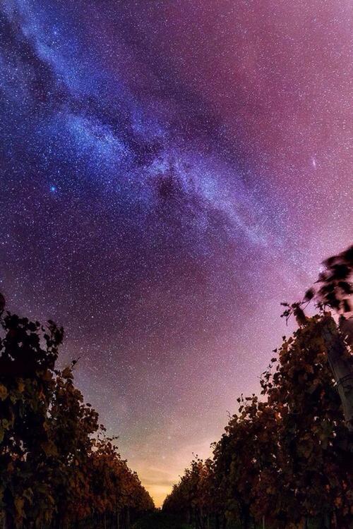 星夜场景_750字