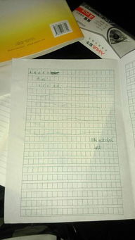 给艾美姐姐的信300字