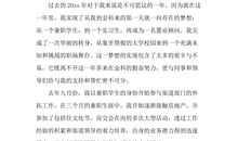 关于春节见闻的作文：春节见闻_800字