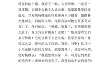 关于善良的作文：善良＞贫穷＞可怜＝自力更生_700字