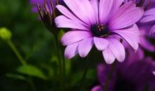 平凡中的美丽_900字