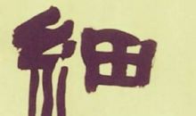 微尘“不微”_1500字