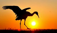 只要有呼吸，就会有希望_1000字