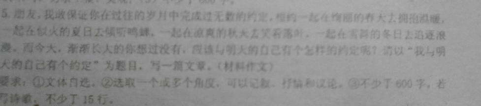 关于我自己的构图：我的外貌_600字