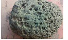 奇怪的石头_100字