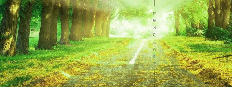 夏天被风吹过_700字