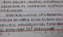 关于新年的作文：新年真热闹_800字