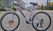 我的山地自行车_650字