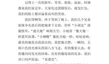 关于新年的作文：我们这样过新年_800字