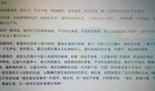 关于新年的作文：今日之旅——买过新年的衣服_1000字