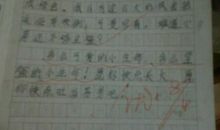 三年级书信作文：给舅妈的一封信_400字