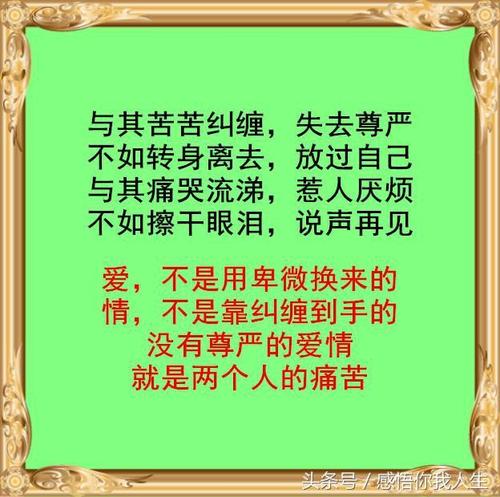保存Dignity_800字