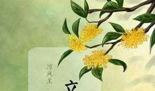 季节的好段好句：立秋的优美句子_3000字(2)