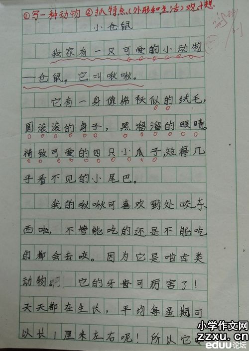 三年级字母组成：给圣诞老人的信_300个单词